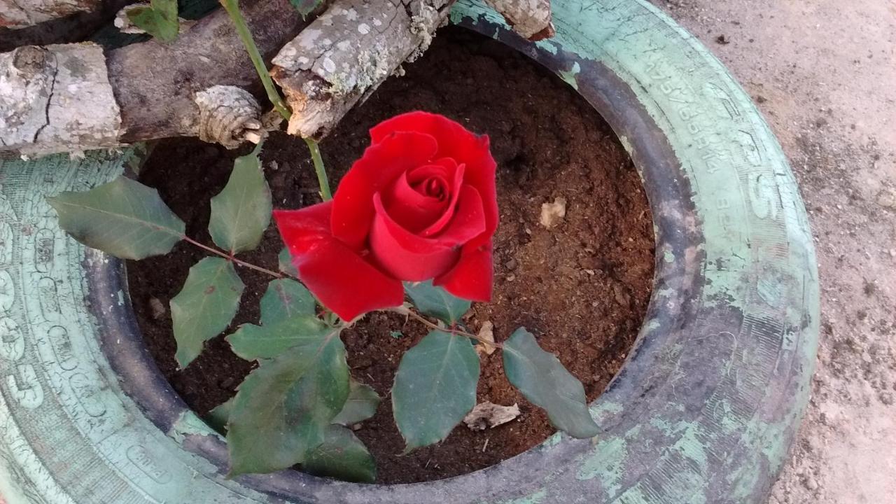 Soledade E Hotel